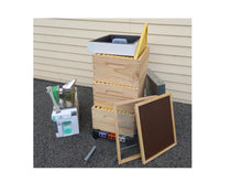 Load image into Gallery viewer, Complete Hive Kit - Including Bees