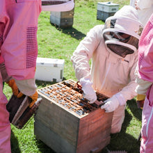 Load image into Gallery viewer, Into The Hive - Hobbyist Beekeeping Course
