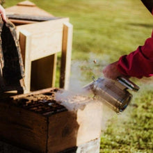 Load image into Gallery viewer, Into The Hive - Hobbyist Beekeeping Course