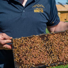 Load image into Gallery viewer, Into The Hive - Online Hobbyist Beekeeping Course