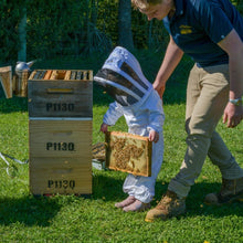Load image into Gallery viewer, Into The Hive - Online Hobbyist Beekeeping Course