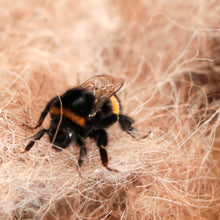 Load image into Gallery viewer, Bumble Bee Nesting Box
