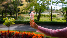 Load image into Gallery viewer, Early Bird Ice Cream Voucher - Pay $50 get $70 of Value.
