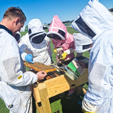 Load image into Gallery viewer, Into The Hive - Hobbyist Beekeeping Course
