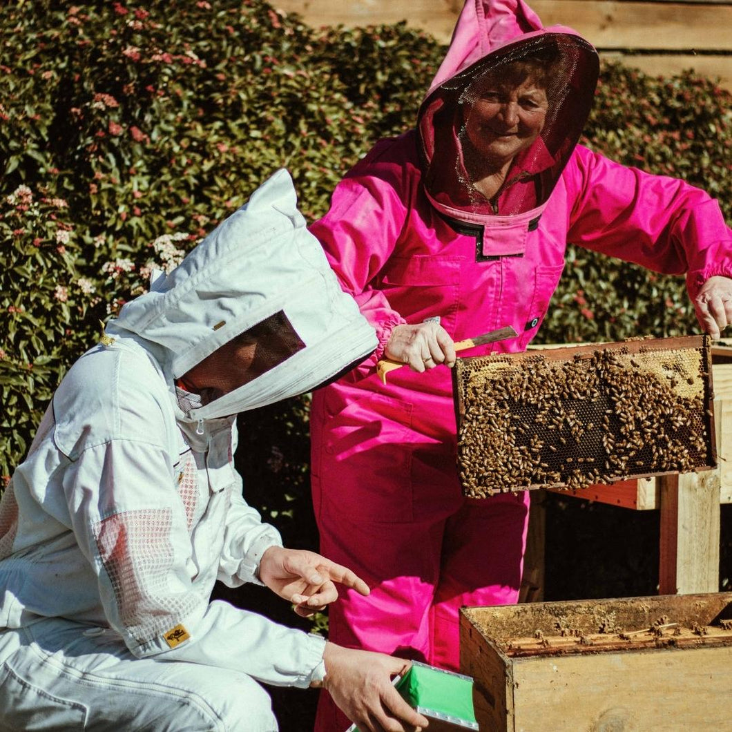 Into The Hive - Hobbyist Beekeeping Course