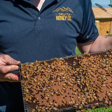 Load image into Gallery viewer, Into The Hive - Online Hobbyist Beekeeping Course

